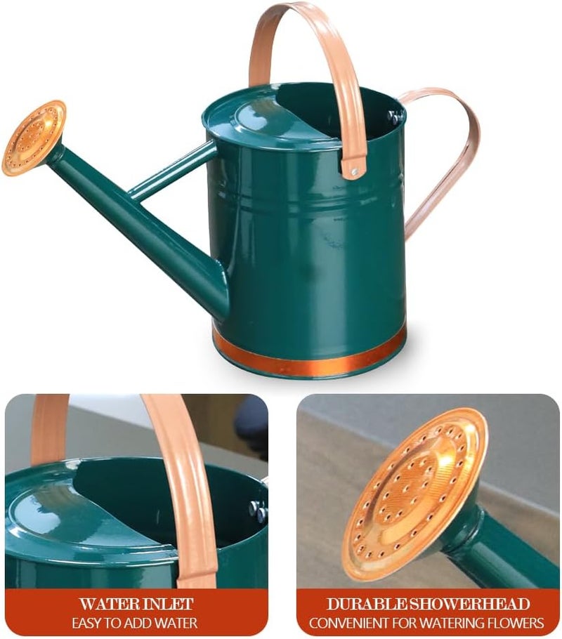 yourjoy Metal Watering Can, One Gallon Watering Cans Stainless Steel for Outdoor Indoor Garden Plants Watering (One Gallon Green Decorative Strip) - Image 4